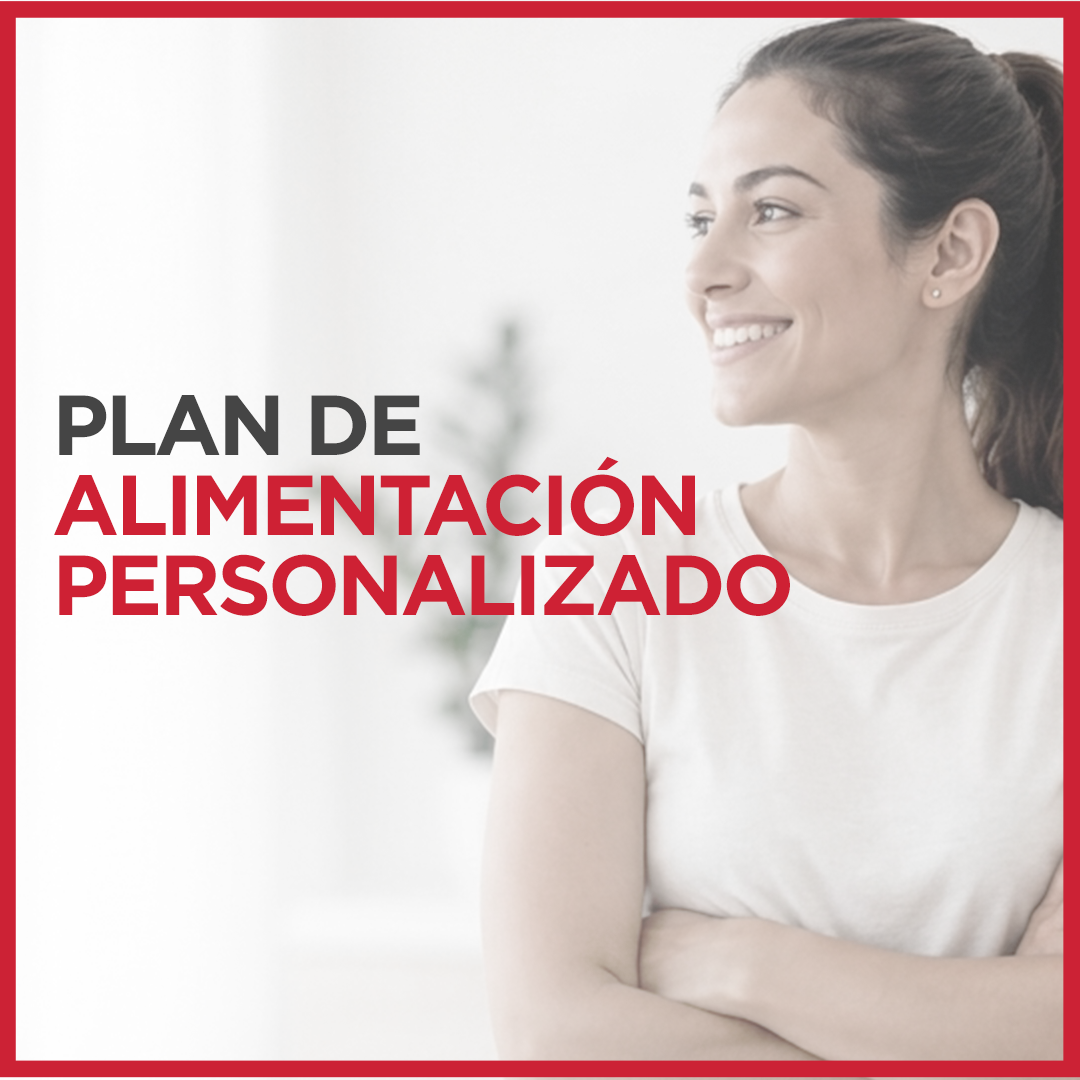 Plan de alimentacion